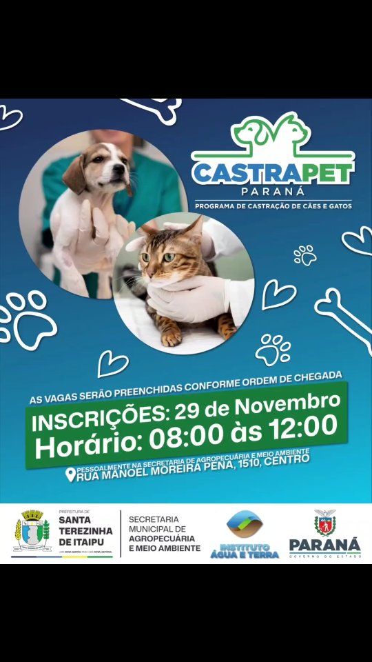 Castração gratuita Castra Pet Paraná abre inscrições dia 29