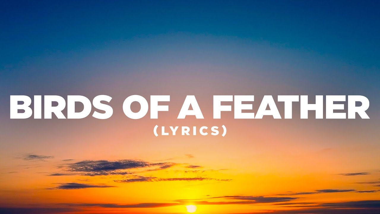 Billie Eilish – BIRDS OF A FEATHER (Lyrics Cover) | Pop Mage