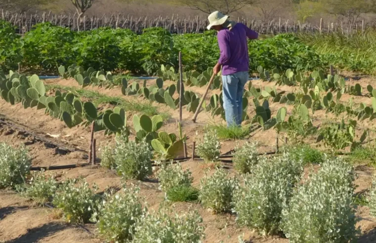 Código de georreferenciamento: CCJ aprova projeto com nova gestão rural