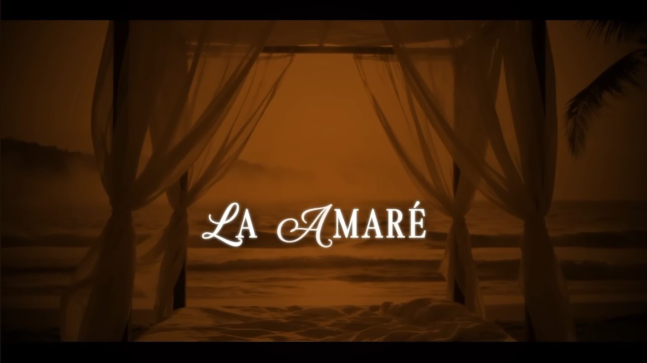 Romeo Santos & Prince Royce – La Amaré (Lyric Video)