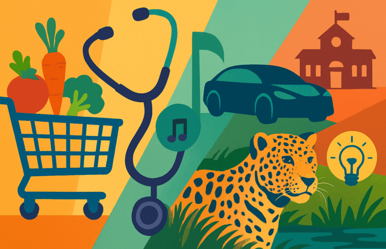 12 de Novembro: Conexões Inesperadas entre Inovação, Cultura e Bem-Estar Global