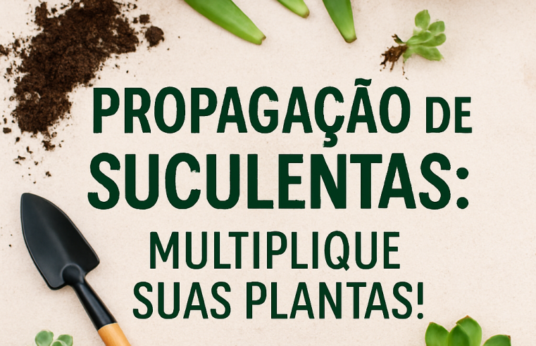 Propagação de Suculentas: Multiplique Suas Plantas!