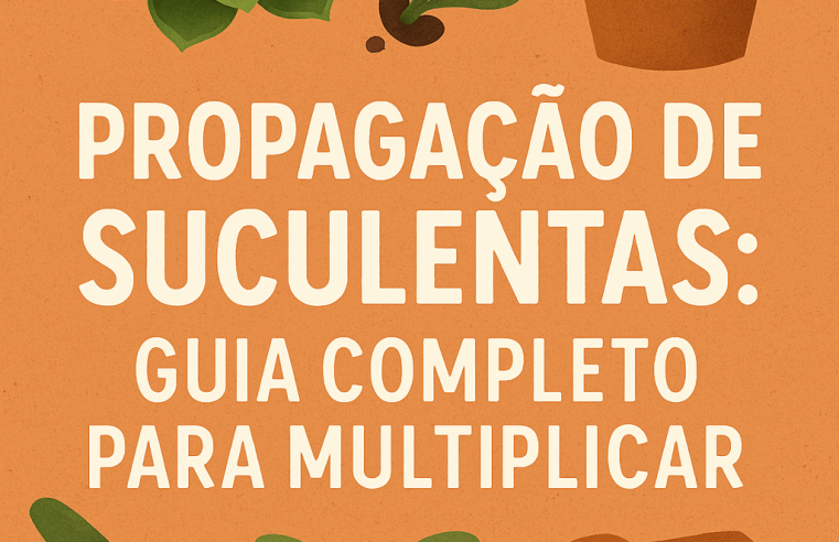 Propagação de Suculentas: Guia Completo para Multiplicar