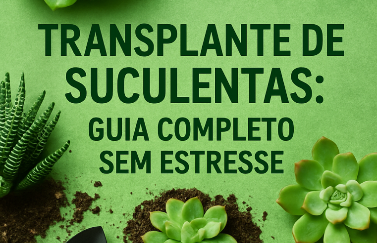 Transplante de Suculentas: Guia Completo Sem Estresse