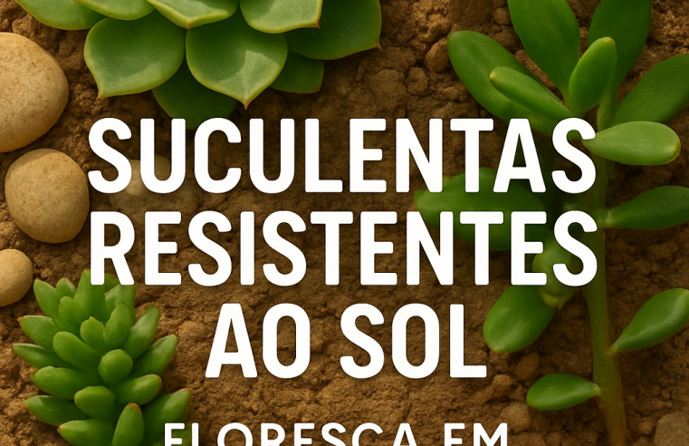Suculentas Resistentes ao Sol: Floresça em Climas Quentes