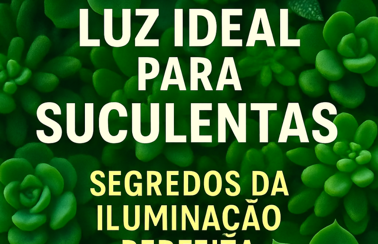 Luz Ideal para Suculentas: Segredos da Iluminação Perfeita