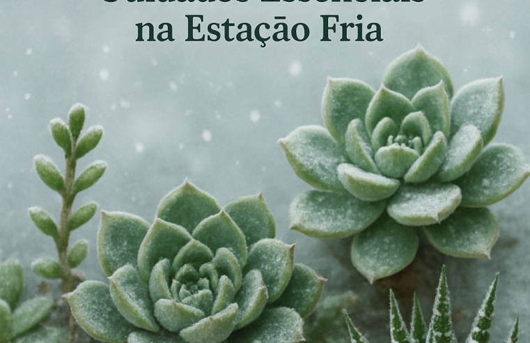 Suculentas no Inverno: Cuidados Essenciais na Estação Fria
