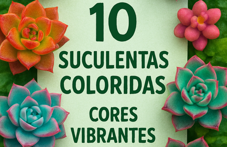 Top 10 Suculentas Coloridas: Cores Vibrantes em Casa!