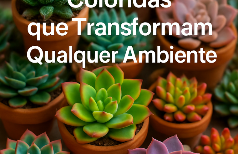 Top 10 Suculentas Coloridas que Transformam Qualquer Ambiente