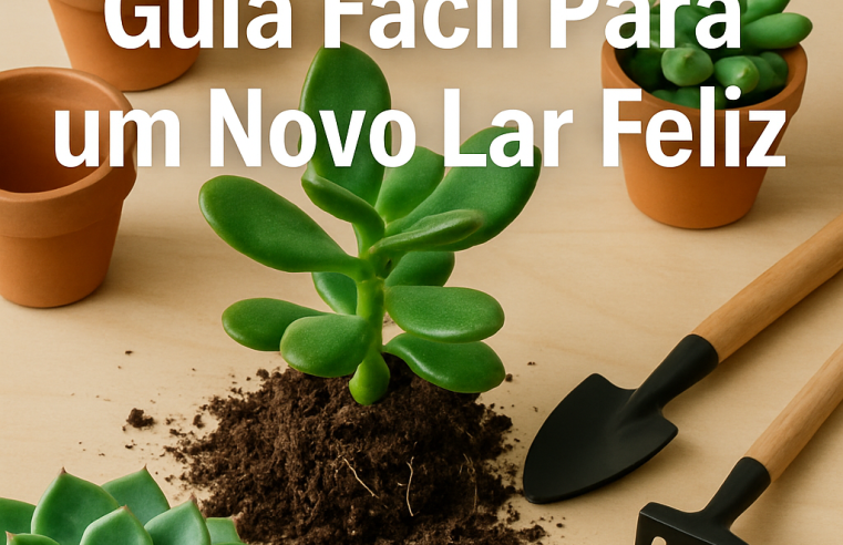 Transplante de Suculentas: Guia Fácil Para um Novo Lar Feliz