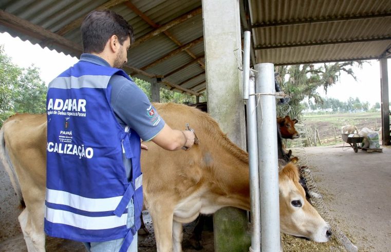 Adapar alerta: vacinação contra raiva cresce após novo caso
