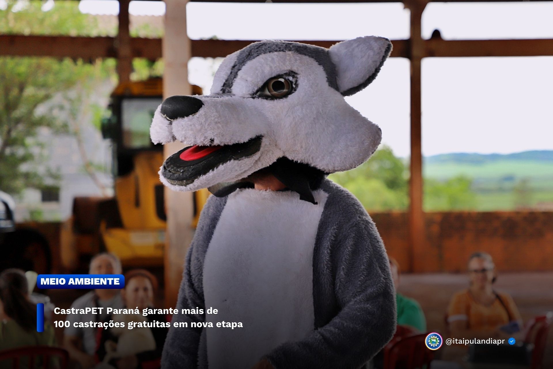 CastraPET Paraná: 104 vagas gratuitas para pets em Itaipulândia