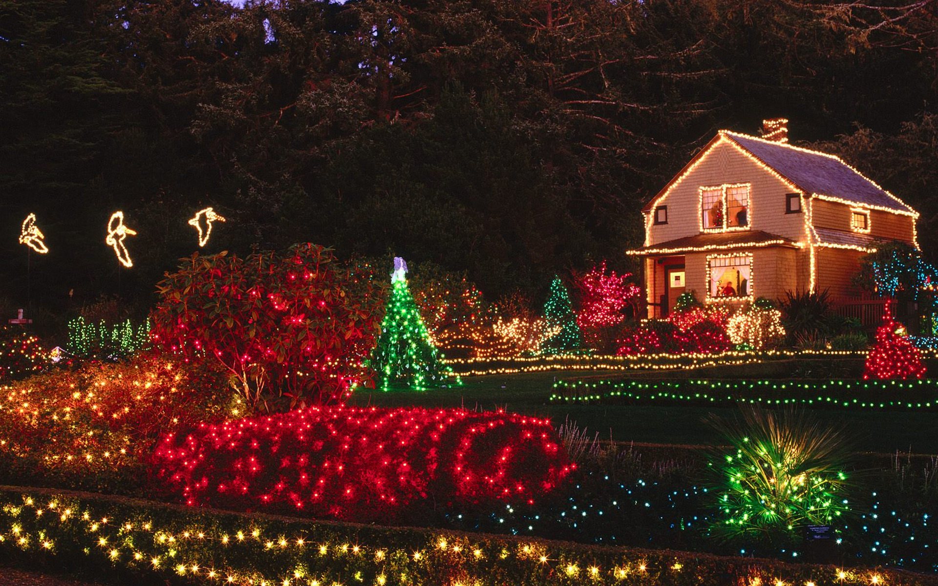 Noite de Natal: História Mágica e Aconchegante