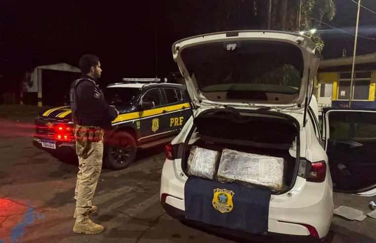 PRF apreende maconha: 203 kg interceptados na BR-277 em STI