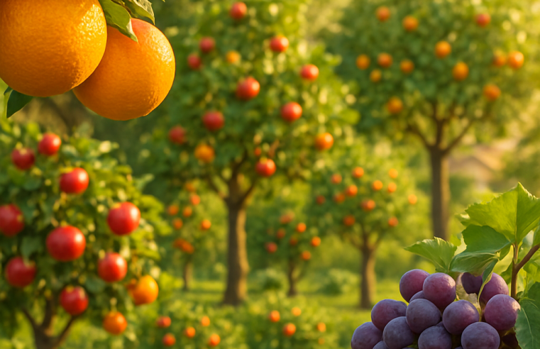 Cultive sua Própria Colheita: O Guia Definitivo de Árvores Frutíferas