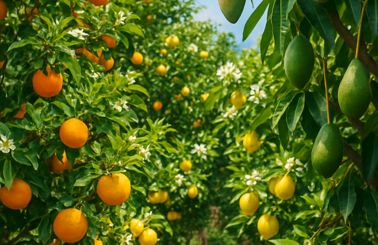 Cultive Suas Próprias Frutas: O Guia Completo de Árvores Frutíferas