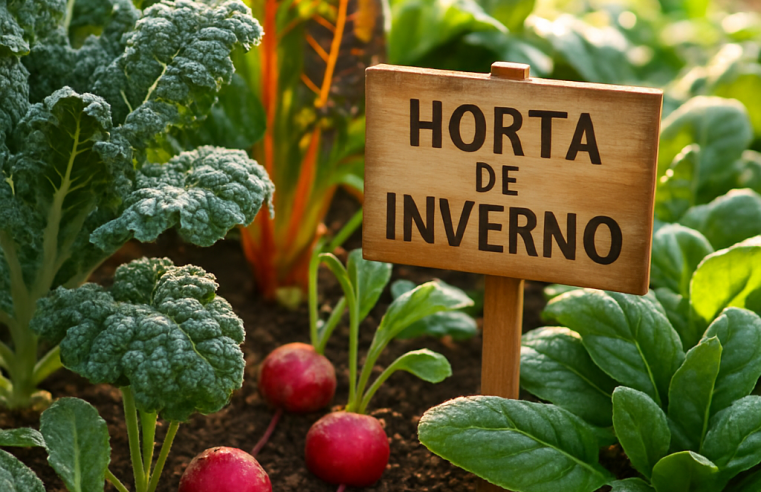 Horta de Inverno: Colha Frescor Mesmo no Frio! ❄️