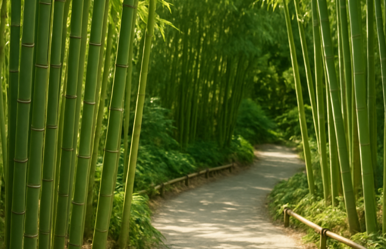 Jardim com Bambu: Crie um Oásis de Tranquilidade em Casa! 🎋