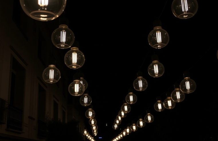 Suculentas e Iluminação: Guia Essencial para o Brilho Perfeito