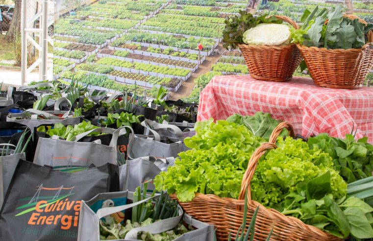 Hortas da Copel: Programa Ganha 32 Novas Unidades no PR