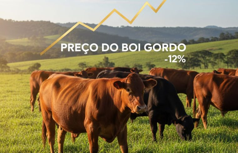 Preço do Boi Gordo Sobe nesta Segunda (26): Veja Valor da Arroba