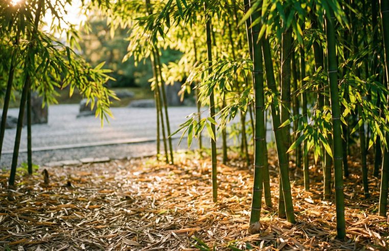 Como Plantar Bambu: Guia Definitivo para um Jardim Exuberante