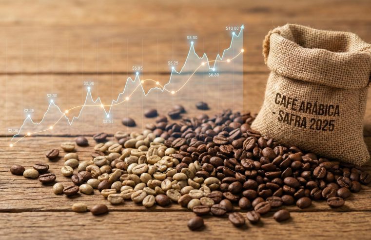 Preço do café arábica cai hoje (29/01); veja cotação do milho e açúcar
