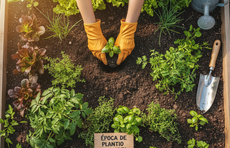 Época de Plantio da Horta: Guia Essencial para o Sucesso!
