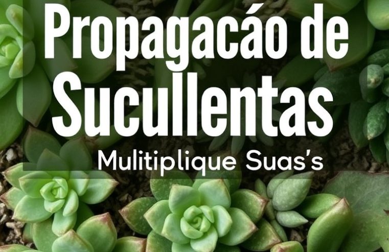 Propagação de Suculentas: Multiplique Suas Plantas Facilmente