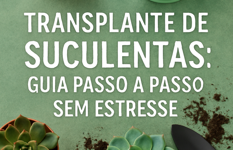Transplante de Suculentas: Guia Passo a Passo Sem Estresse