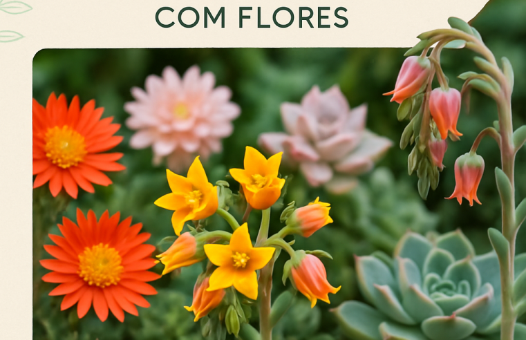Suculentas Floridas: Espécies Que Encantam com Flores
