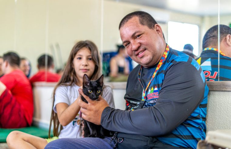 Castração gratuita em Foz: veja como garantir a vaga do seu pet
