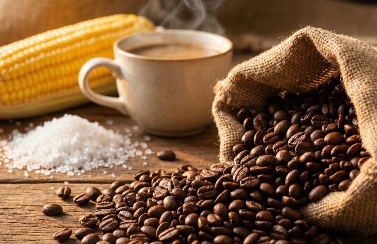 Preço do café arábica hoje: Alta em SP e cotações de milho e açúcar