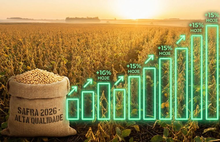 Cotação da Soja e Trigo hoje: Preços sobem no Paraná (20/02)