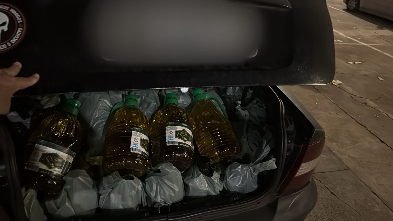 WhatsApp Image 2026 02 13 at 12.05.57