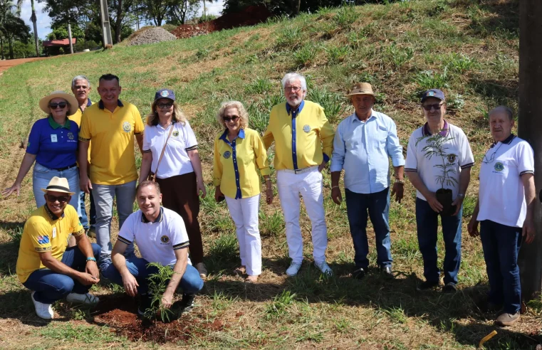 Bosque das Lembranças: Homenagem às Vítimas da Covid em SMI