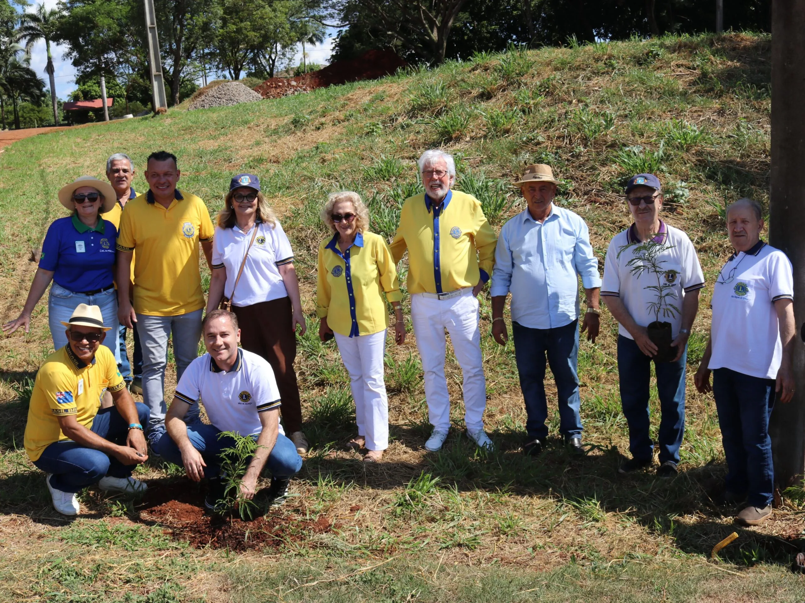 Bosque das Lembranças: Homenagem às Vítimas da Covid em SMI