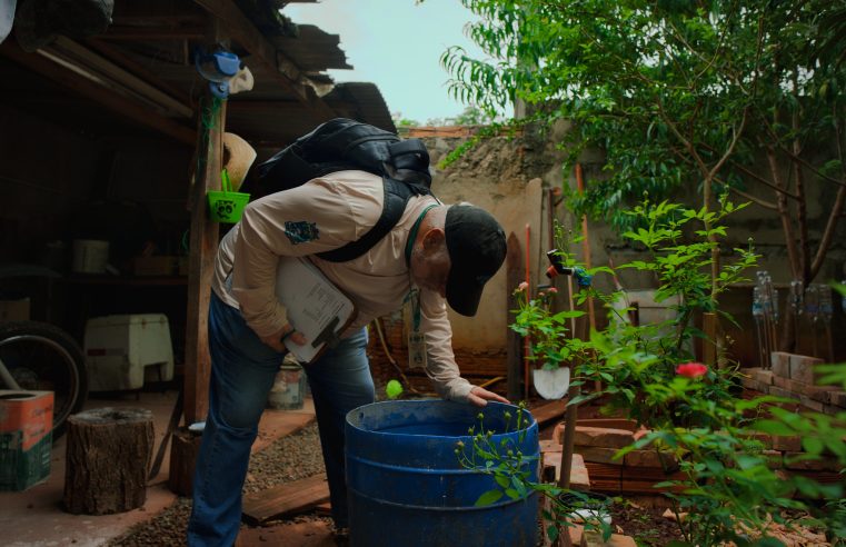 Mutirão contra a Dengue Morumbi: Limpeza e Petmóvel