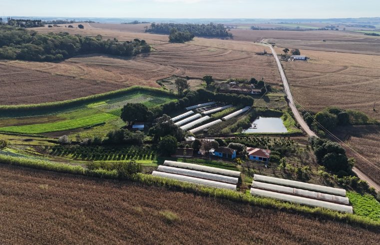 Prêmio Produtor Destaque 2026: Inscrições abertas em Marechal
