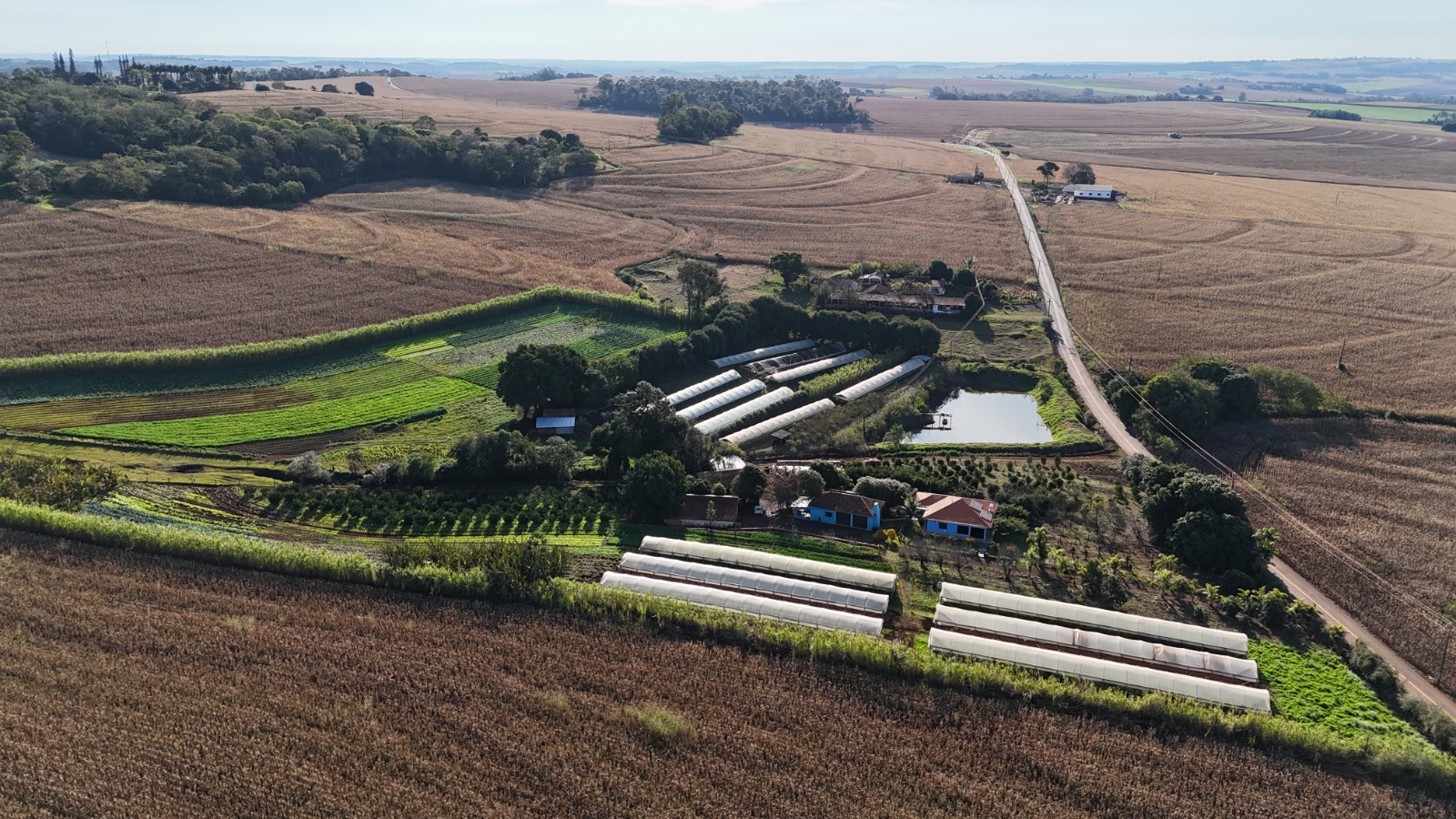 Prêmio Produtor Destaque 2026: Inscrições abertas em Marechal