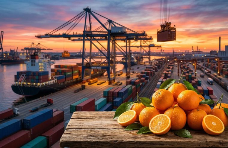 Exportações de suco de laranja caem na UE; Preço da fruta sobe