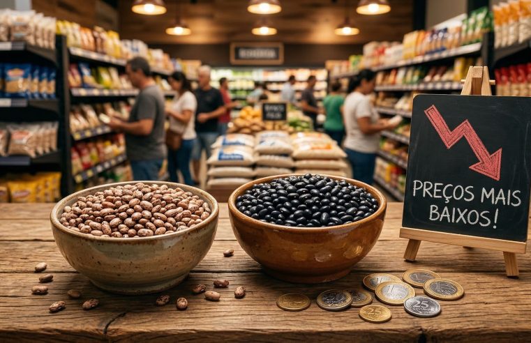 Preço do Feijão Sofre Queda: Veja o Que Esperar no Mercado