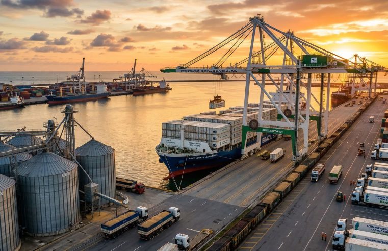 Mercado de Frango: Exportações batem recorde apesar de conflitos