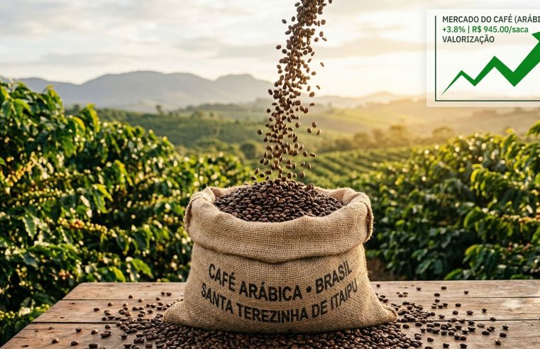 Preço do café arábica sobe hoje: veja cotação e milho (5/3)