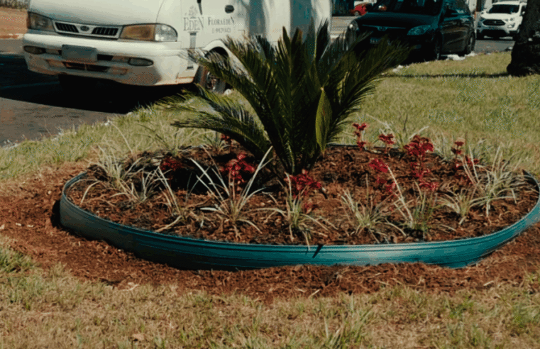 Furto de mudas em Foz do Iguaçu gera revolta