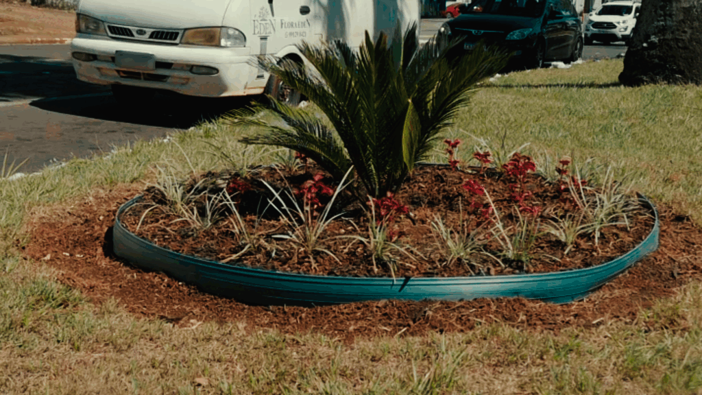 Furto de mudas em Foz do Iguaçu gera revolta