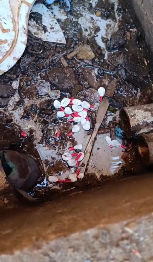 Operação DENARC Foz do Iguaçu: 4 presos e drogas no Morumbi