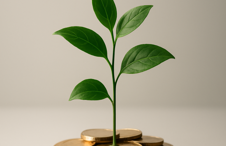 Guia Completo de Como Organizar a Vida Financeira