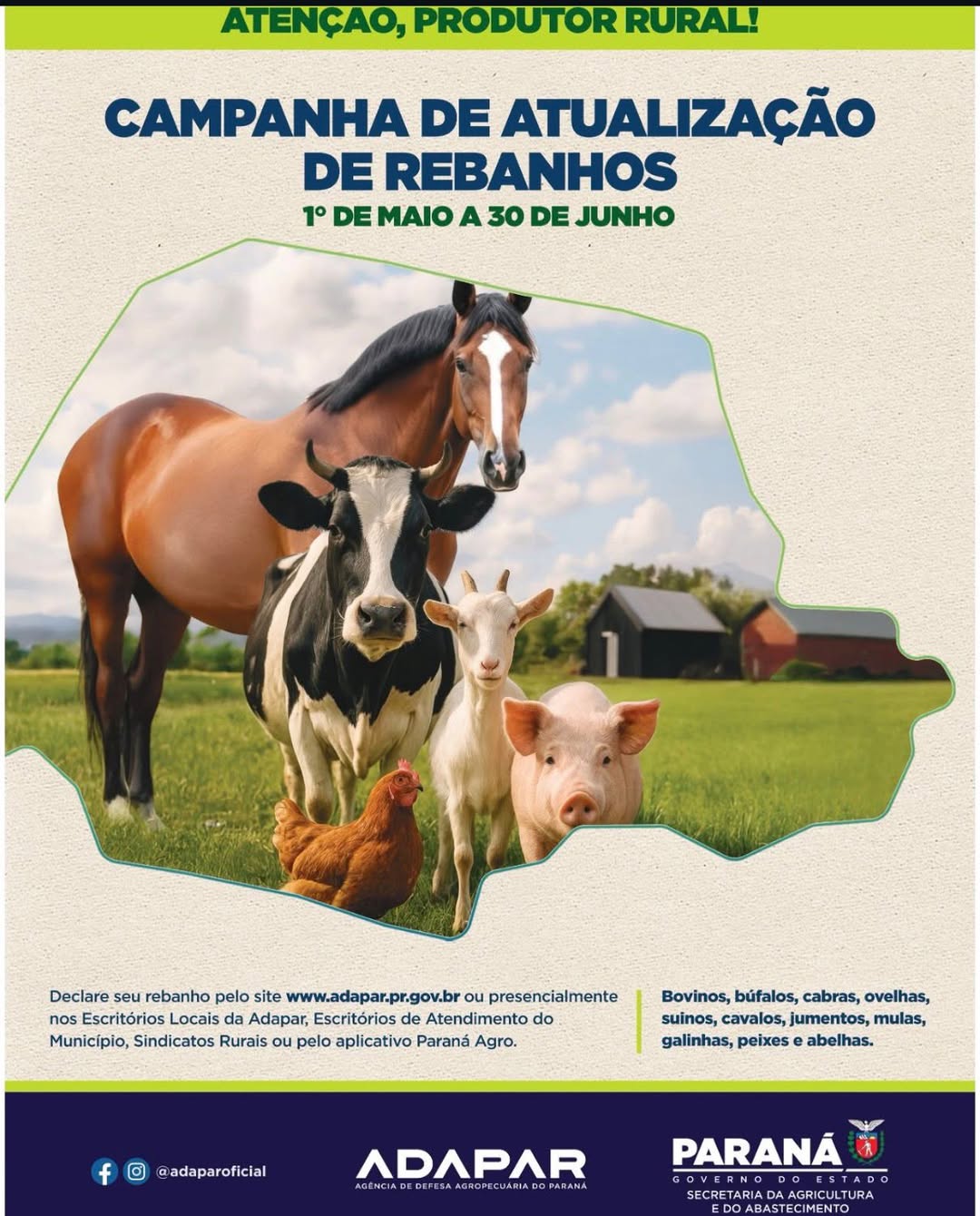 Atualização de Rebanhos Adapar 2026: Prazo e Como Fazer