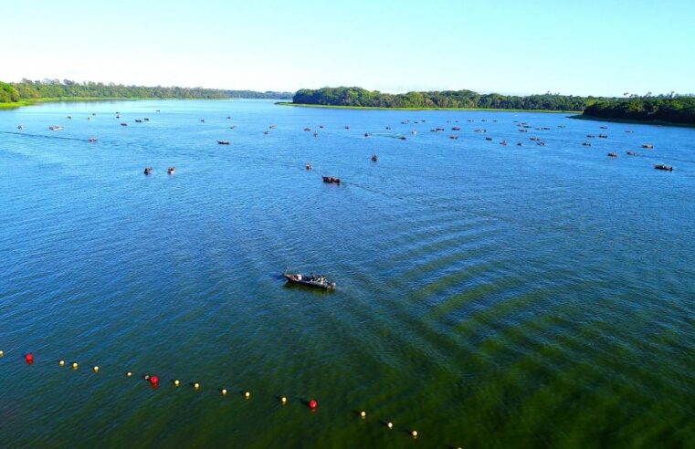 Turismo Náutico Lago de Itaipu: Participe das Oficinas!
